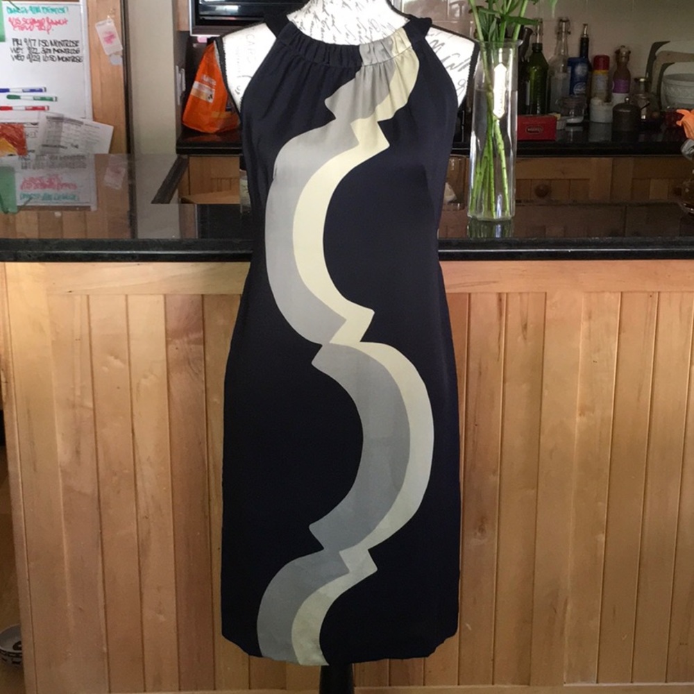 Banana Republic Silk Dress For Any Occasion!